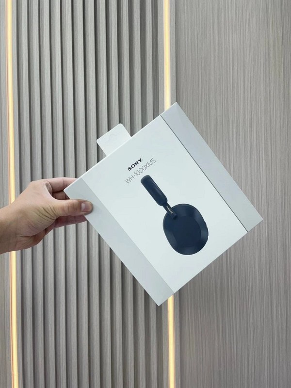 Sony WH-1000XM5 over-ear headphones in black or silver, a noise-cancelling flagship with a documented hinge weak point