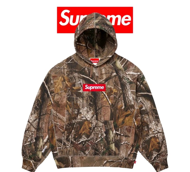 Supreme FW25 Box Logo Hoodie in All-Over Branch Camouflage Print
